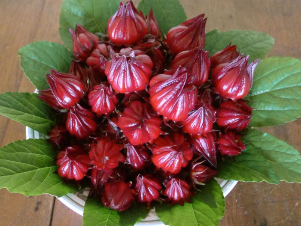 Lưu ý khi sử dụng